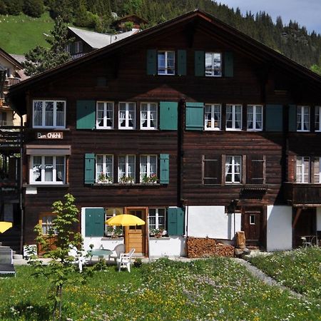Studio Bim Chalet Bim Chilchli Mürren Exterior foto